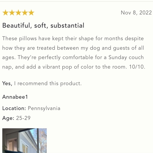 Anthropologie Velvet Trova Bolster Pillow - slate - Picture 8 of 13